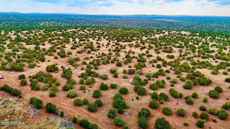 0 Silver Lake Blvd 248 5 Acres --, Show Low, AZ 85901