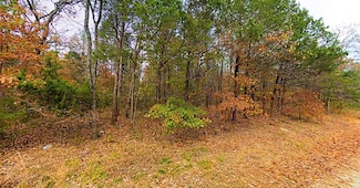 E Airport Rd, Diamond City, AR 72644
