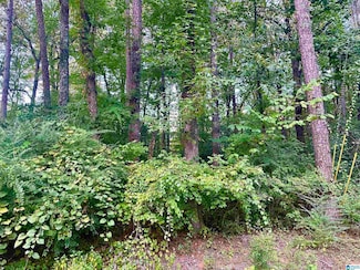 237 Sam Pate Dr, Birmingham, AL 35215