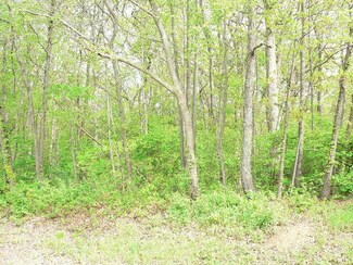 278 Blackhawk Dr, Hopewell, IL 61565