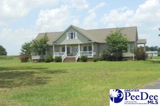 3774 Hebron Dunbar Rd, Clio, SC 29525