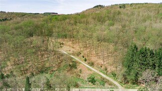0 Hencoop Hollow Rd Unit B1550154, Ellicottville, NY 14731