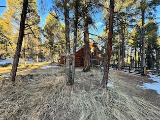 12763 S Wamblee Valley Rd, Conifer, CO 80433