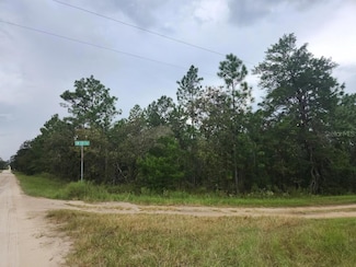 0 SW 85th Place Unit MFROM686720, Dunnellon, FL 34432