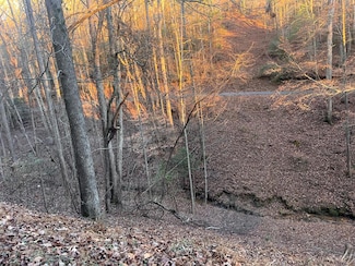 LOT 319 Riverview Dr, Ellijay, GA 30540