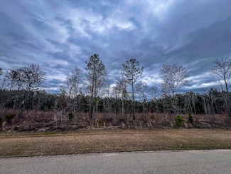 2026 Nathania Farm Rd, Lincolnton, GA 30817