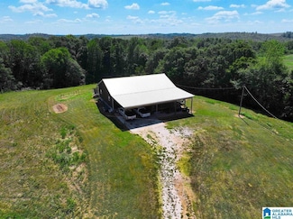 1690 Mount Moriah Rd, Delta, AL 36258