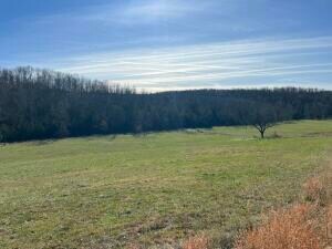 Tract 7c Route 4, Squires, MO 65755