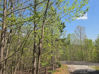 LOT 11 Back Hollow Dr, Lake Lure, NC 28746