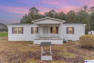 16048 Choppee Rd, Hemingway, SC 29554