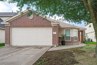 1219 Newsome Glenn Dr, Houston, TX 77090