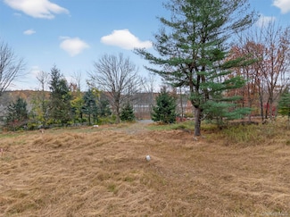 127 Benneywater Rd, Port Jervis, NY 12771