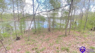 370 Cave Heights Dr, Falls of Rough, KY 40119