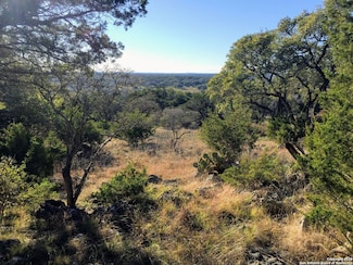 447 Coyote Trail, Spring Branch, TX 78070