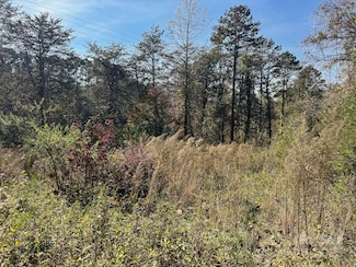 3510 U S 64, Rutherfordton, NC 28139