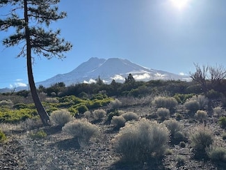 Blk 1 Lot 8 Jackson Ranch Rd, Weed, CA 96094