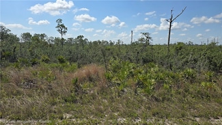 3116 Emory Ave, Lake Placid, FL 33852