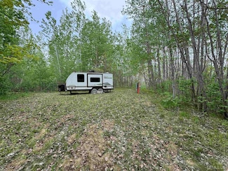 112 Blueberry Corner Rd, Mastodon Township, MI 49920