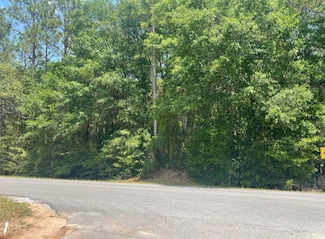 TBD Lake Silver Rd, Crestview, FL 32536