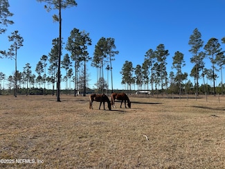 12260 Oc Horne Rd, Sanderson, FL 32087