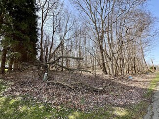 0 V L Steininger Rd Unit 25025240, Marcellus, MI 49067