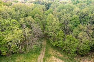 18731 Williamsville St, Cassopolis, MI 49031