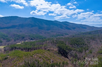 Tract 1 Holbert Cove Rd, Mill Spring, NC 28756