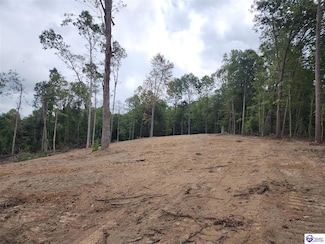 Lot 0 Leitchfield Rd, Cecilia, KY 42724
