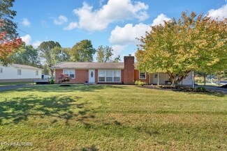 6921 Mackin Ln, Knoxville, TN 37931