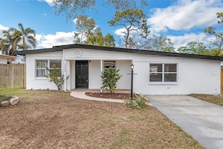 1316 Barry St, Clearwater, FL 33756