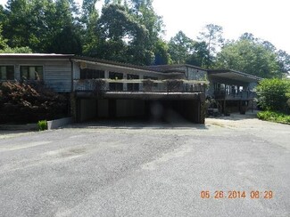 217 Woodland Dr, Eclectic, AL 36024
