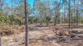 0 Webb Ln, Steinhatchee, FL 32359