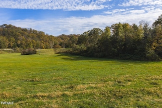 1619 Lynn Flanary Rd, Blackwater, VA 24221