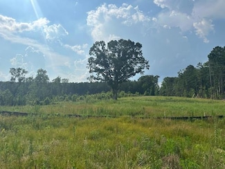 4337 Rock Spring Rd, Center Cross, VA 22437
