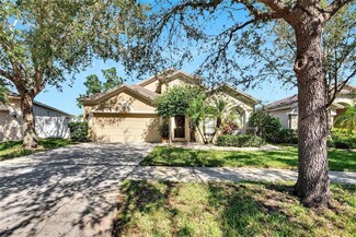 11335 Flora Springs Dr, Riverview, FL 33579