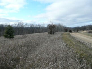 11.68 Ac Hidden Meadow Ln, Boscobel, WI 53805