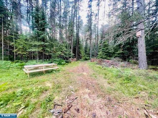 3567 S Dublin Rd, Hibbing, MN 55746