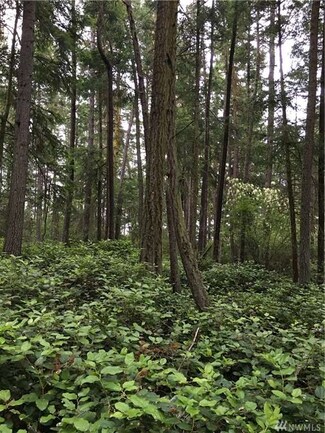 0 Channel Rd Unit 962834, Lopez Island, WA 98261