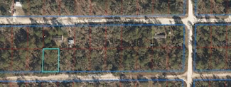 0 NE 66 St Unit MFROM687265, Williston, FL 32696