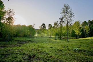 40.46AC Barker Cove Loop N of, Palmer, TN 37365