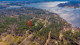 210 Concho Dr, Shadybrook, TX 75757