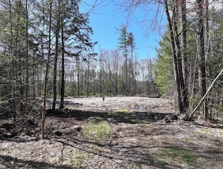 Lot 60-004 Merriman Dr, Bethel, ME 04217