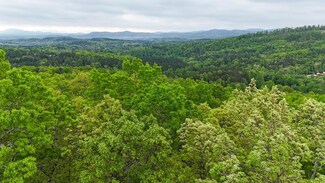 Lot 52 Ivy Bend Ln, Notla, NC 28906
