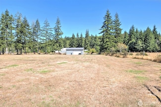 1982 W Ford Loop Rd, Elma, WA 98541