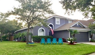 19126 Dove Creek Dr, Tampa, FL 33647
