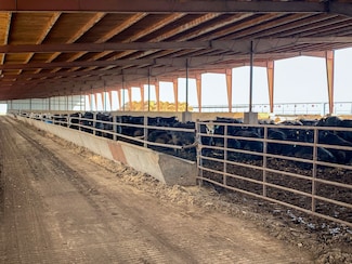 13601 Bell Ave, Riceville, IA 50466