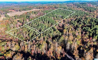 0 County Road 23 Unit 21435380, Wedowee, AL 36278