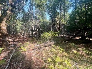 62 acres Forest Road 15n19, Happy Camp, CA 96039