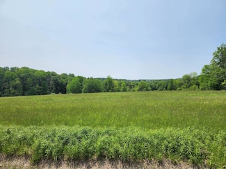 0 County Road #13 Unit 11516805, Ripley, NY 14775