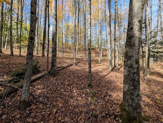 0 Akins Rd, Cohocton, NY 14826